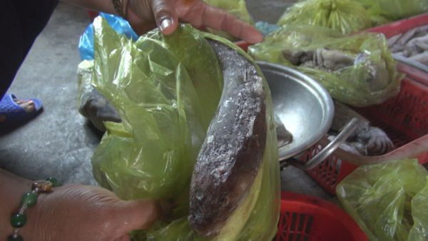 [-]Truyền[-]hình[-]Đài[-]Loan[-]phát[-]phóng[-]sự[-]về[-]cá[-]chết[-]ở[-]miền[-]Trung