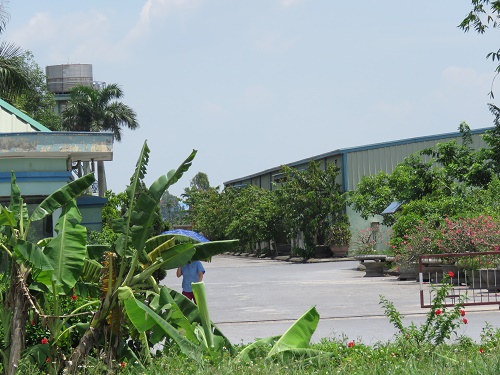 Hải[-]Phòng:[-]Sơ[-]ý[-]đổ[-]rác[-]trúng[-]ổ[-]chó[-]đẻ,[-]bị[-]chó[-]cắn[-]chết[-]