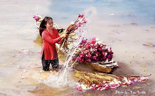 Ngày[-]30[-]tháng[-]6:[-]Thời[-]tiết[-]mát[-]mẻ[-]