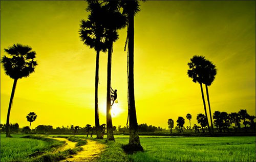 [-]Ngày[-]23[-]tháng[-]6:[-]Miền[-]Bắc[-]oi[-]nóng,[-]khu[-]vực[-]Nam[-]biển[-]Đông[-]đề[-]phòng[-]lốc[-]xoáy[-]và[-]gió[-]giật[-]mạnh