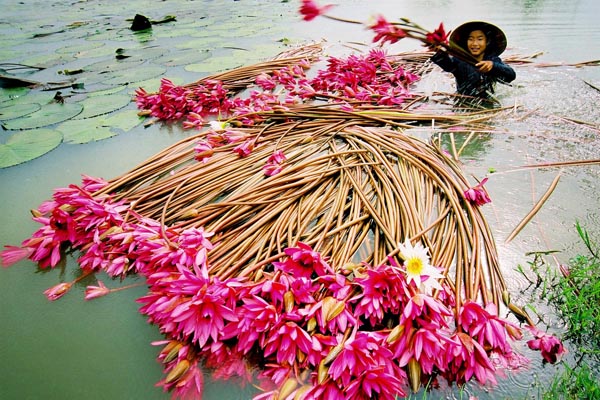 Bắc[-]Bộ[-]nắng[-]mạnh,[-]Nam[-]Bộ[-]và[-]Tây[-]Nguyên[-]giảm[-]mưa