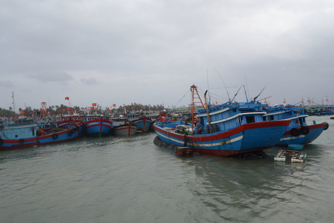 [-]Huyện[-]đảo[-]Lý[-]Sơn[-]cầu[-]cứu[-]ngừng[-]tận[-]diệt[-]tôm[-]cá