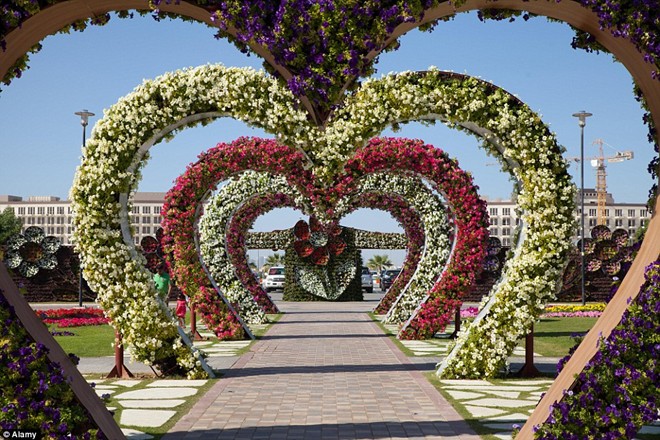 Khám[-]phá[-]khu[-]vườn[-]hoa[-]lớn[-]nhất[-]thế[-]giới[-]ở[-]Dubai
