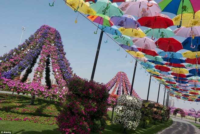Khám[-]phá[-]khu[-]vườn[-]hoa[-]lớn[-]nhất[-]thế[-]giới[-]ở[-]Dubai