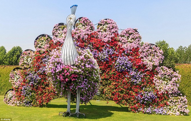 Khám[-]phá[-]khu[-]vườn[-]hoa[-]lớn[-]nhất[-]thế[-]giới[-]ở[-]Dubai