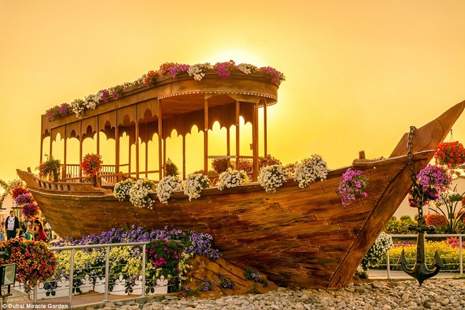 Khám[-]phá[-]khu[-]vườn[-]hoa[-]lớn[-]nhất[-]thế[-]giới[-]ở[-]Dubai