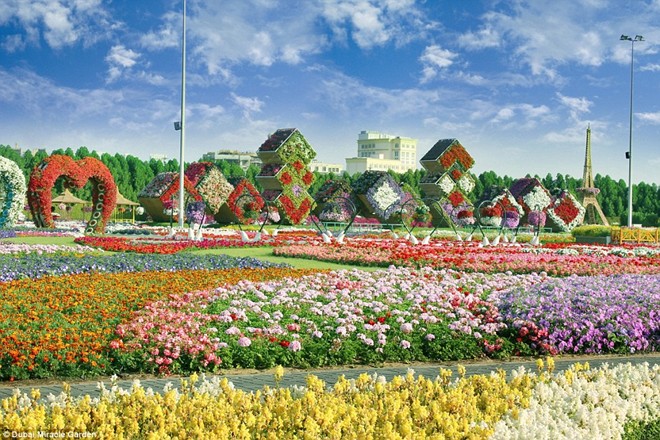 Khám[-]phá[-]khu[-]vườn[-]hoa[-]lớn[-]nhất[-]thế[-]giới[-]ở[-]Dubai