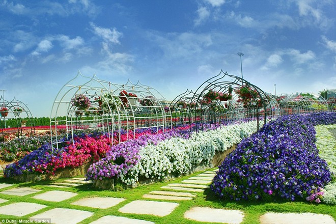 Khám[-]phá[-]khu[-]vườn[-]hoa[-]lớn[-]nhất[-]thế[-]giới[-]ở[-]Dubai