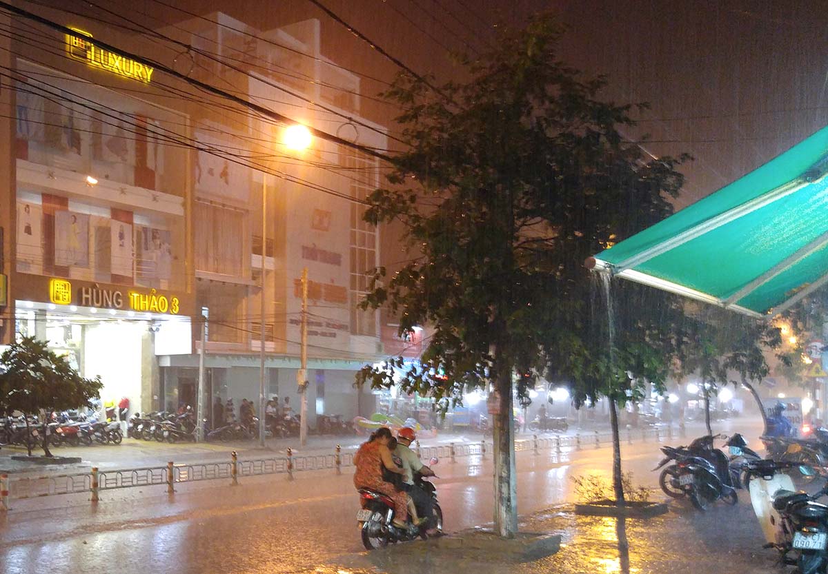 [-]Ninh[-]Thuận:[-]Vùng[-]đại[-]hạn[-]bất[-]ngờ[-]đón[-]cơn[-]“mưa[-]vàng”