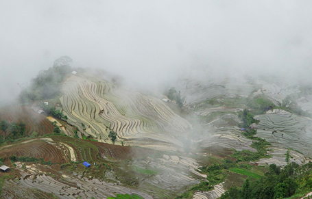 Vẻ[-]đẹp[-]huyền[-]ảo[-]ruộng[-]bậc[-]thang[-]Y[-]Tý[-]mùa[-]nước[-]đổ