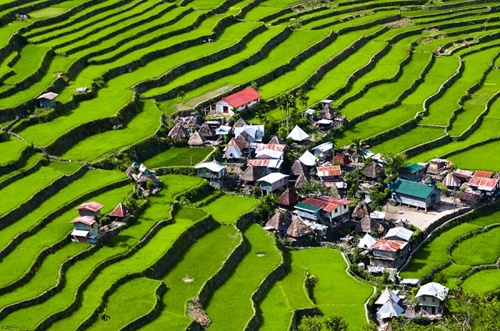 [-]Ruộng[-]bậc[-]thang[-]-[-]"kỳ[-]quan[-]thiên[-]nhiên[-]thứ[-]8"[-]của[-]thế[-]giới