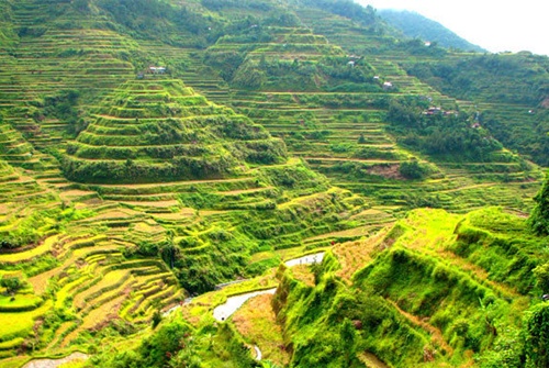 [-]Ruộng[-]bậc[-]thang[-]-[-]"kỳ[-]quan[-]thiên[-]nhiên[-]thứ[-]8"[-]của[-]thế[-]giới
