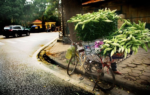 [-]Miền[-]Bắc[-]tăng[-]nhiệt[-]trở[-]lại,[-]trời[-]nắng[-]gắt[-]
