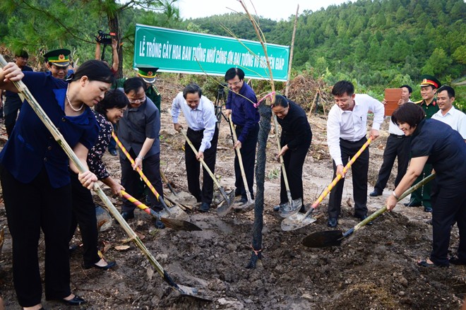 trồng[-]1.000[-]cây[-]hoa[-]ban[-]trên[-]đường[-]Võ[-]Nguyên[-]Giáp