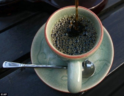 Thăm[-]nơi[-]chế[-]biến[-]cà[-]phê[-]phân[-]voi[-]đắt[-]nhất[-]thế[-]giới