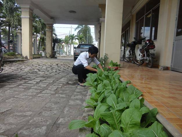 Thành[-]phố[-]Biên[-]Hòa:[-]Ngại[-]rau[-]bẩn,[-]nhiều[-]người[-]tự[-]trồng[-]rau[-]sạch[-]cho[-]gia[-]đình