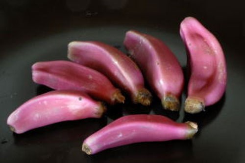 Trồng[-]chuối[-]hồng[-]vừa[-]làm[-]cảnh,[-]vừa[-]ăn