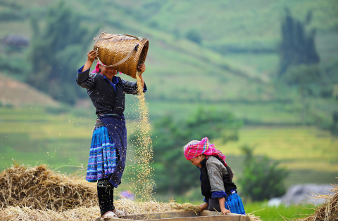 Ngỡ[-]ngàng[-]trước[-]cảnh[-]sắc[-]tuyệt[-]đẹp[-]của[-]Tây[-]Bắc