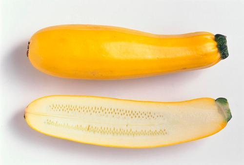 Săn[-]lùng[-]giống[-]bí[-]ngòi[-]vàng[-]hình[-]dưa[-]chuột[-]
