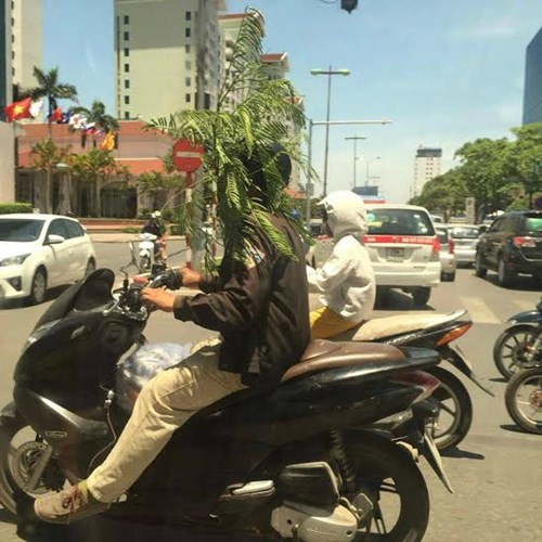 Hinh[-]ảnh[-]về[-]các[-]kiểu[-]chống[-]nắng[-]gây[-]bức[-]xúc