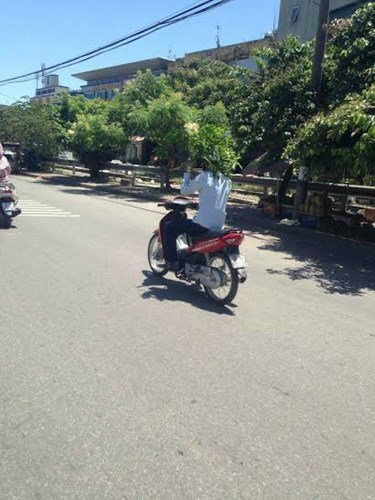 Hinh[-]ảnh[-]về[-]các[-]kiểu[-]chống[-]nắng[-]gây[-]bức[-]xúc