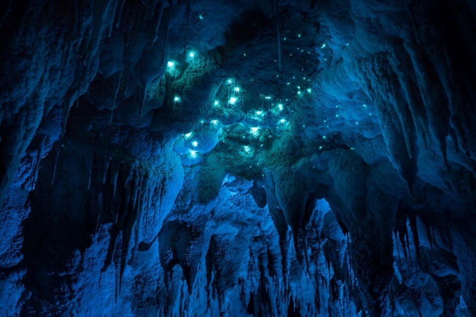 Vẻ[-]đẹp[-]bầu[-]trời[-]đêm[-]đầy[-]sao[-]được[-]tạo[-]ra[-]từ[-]đom[-]đóm