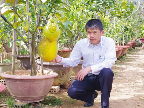 Những[-]loại[-]quả[-]khổng[-]lồ[-]khiến[-]nhiều[-]người[-]tò[-]mò[-]mua