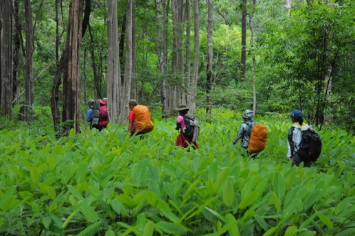 Chiêm ngưỡng cung đường trek đẹp nhất Việt Nam 11