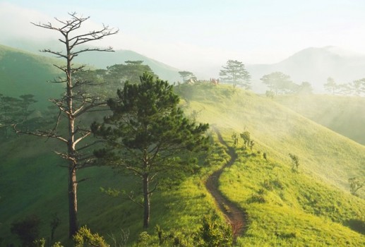 Chiêm ngưỡng cung đường trek đẹp nhất Việt Nam  5