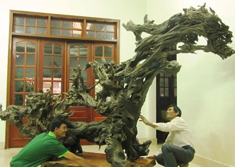 Chuyện[-]lạ:[-]Nhặt[-]được[-]những[-]gốc[-]cây[-]'mục'[-]tiền[-]tỷ[-]1