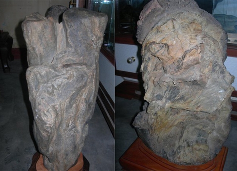 Chuyện[-]lạ:[-]Nhặt[-]được[-]những[-]gốc[-]cây[-]'mục'[-]tiền[-]tỷ[-]5