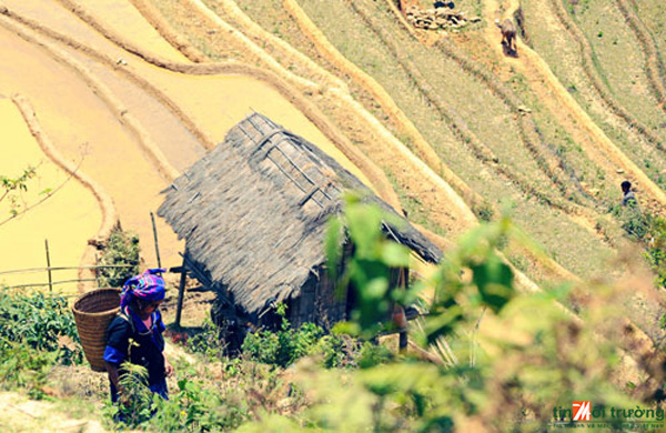 từ[-]ngày[-]26/8,[-]nắng[-]nóng[-]sẽ[-]dịu[-]dần[-]ở[-]các[-]tỉnh[-]Bắc[-]Bộ.