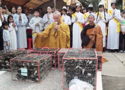 Lễ[-]phóng[-]sinh