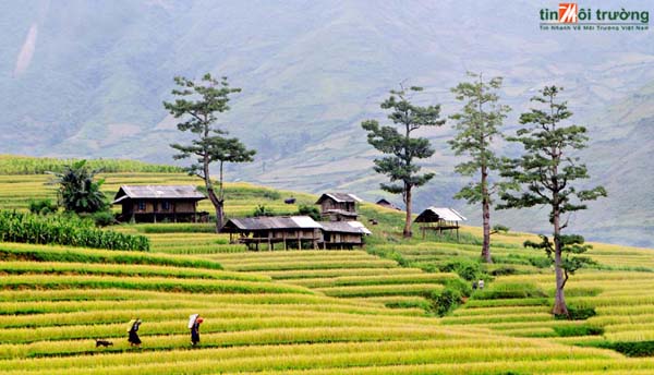 Nắng[-]nóng[-]tại[-]Bắc[-]và[-]Trung[-]Trung[-]bộ[-]còn[-]tiếp[-]diễn