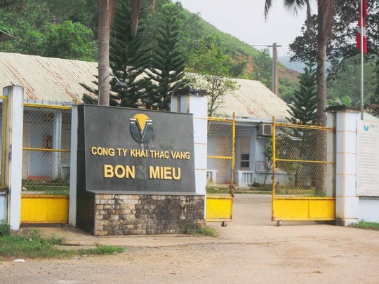 http://media.cpeco.vn/public/media/media/picture/08/bongmeu.jpg