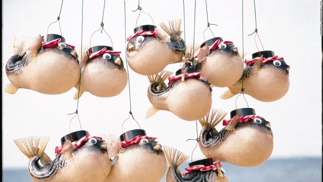 Người[-]Nhật[-]chuộng[-]ăn[-]cá[-]nóc[-]chết[-]người,[-]vì[-]sao?
