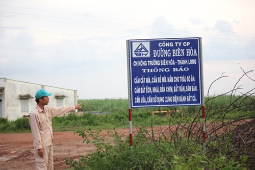 Ễnh[-]ương[-]xuất[-]hiện[-]dày[-]đặc[-]ở[-]Tây[-]Ninh[-]là[-]do[-]nông[-]trường[-]nuôi[-]để[-]bảo[-]vệ[-]mía?