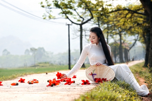 Khoe[-]sắc[-]cùng[-]hoa[-]gạo[-]đỏ