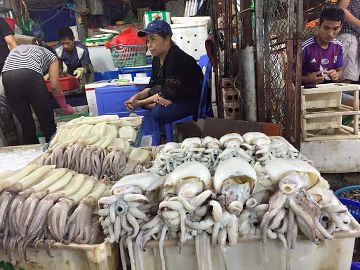[-]Bất[-]nhất[-]kết[-]quả[-]kiểm[-]tra[-]hải[-]sản[-]miền[-]Trung