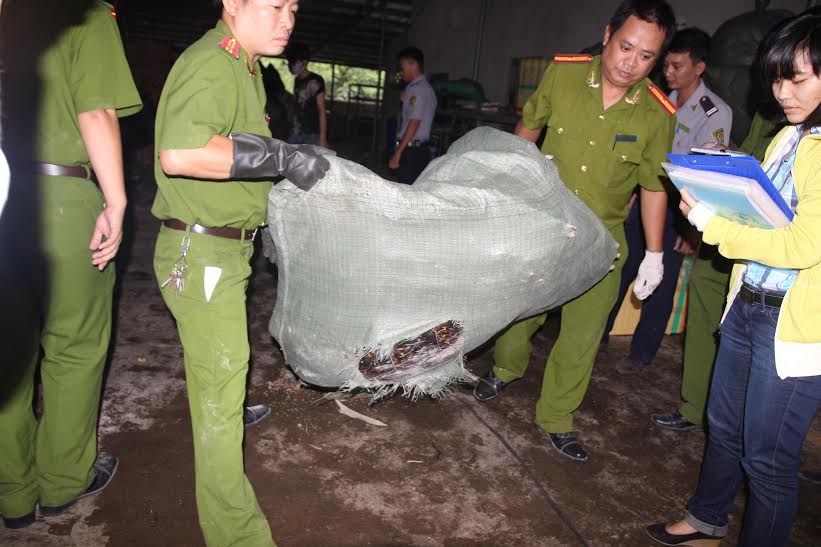 Vẫn[-]chưa[-]bị[-]truy[-]tố[-]đối[-]tượng[-]cầm[-]đầu[-]đường[-]dây[-]buôn[-]bán[-]rùa[-]biển[-]lớn[-]nhất[-]Việt[-]Nam