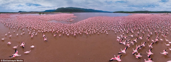 [-]Những[-]bức[-]ảnh[-]chụp[-]từ[-]flycam[-]đẹp[-]mê[-]hồn