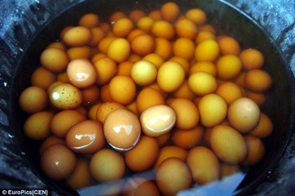 Kinh[-]Ngạc[-]những[-]món[-]ăn[-]từ[-]chất[-]thải