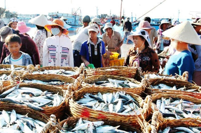 Hội[-]nghề[-]cá[-]đề[-]nghị[-]công[-]bố[-]bản[-]đồ[-]cấm[-]khai[-]thác[-]cá[-]