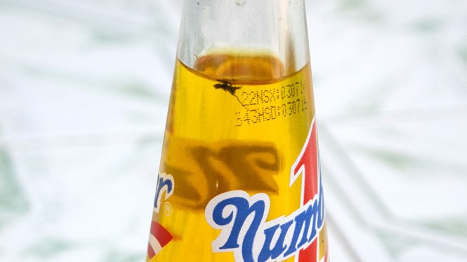 Vụ[-]chai[-]nước[-]ngọt[-]có[-]ruồi:[-]phúc[-]thẩm[-]y[-]án[-]7[-]năm[-]tù