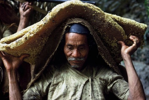 Cảnh tượng săn tổ ong khổng lồ trên vách núi dựng đứng