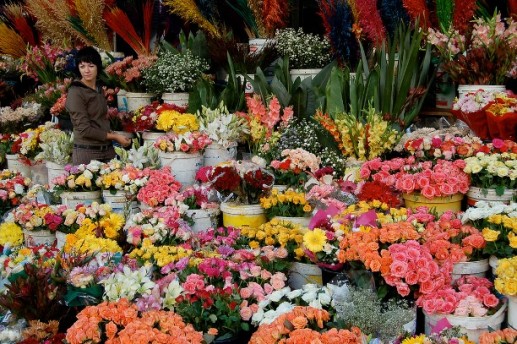 10 chợ hoa nổi tiếng nhất thế giới