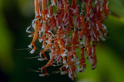 Khoảnh khắc sống động của động vật hoang dã