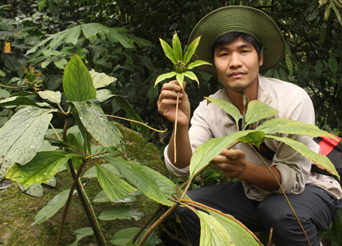 Những[-]thảo[-]dược[-]kỳ[-]quái[-]trên[-]đỉnh[-]Tây[-]Côn[-]Lĩnh
