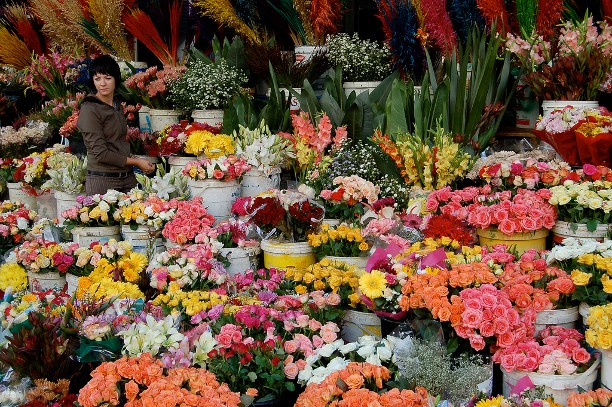 10[-]chợ[-]hoa[-]nổi[-]tiếng[-]nhất[-]thế[-]giới