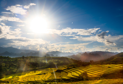 Mùa[-]vàng[-]trên[-]những[-]bản[-]làng[-]vùng[-]cao